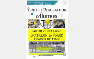 Vente et dégustation d'huitres 🦪✨